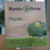peyote seed