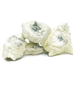 Albino A+ Magic Mushrooms
