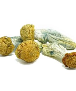 Blue Meanie Magic Mushrooms