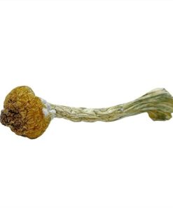 Keeper Creepers Magic Mushrooms