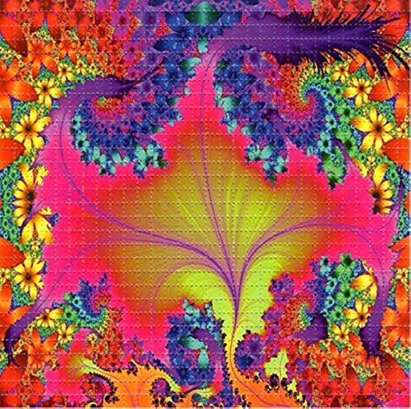 LSD Sheets - Image 3