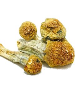 penisenvyjulybulk 1 1 1 1 1 1 570x570 1